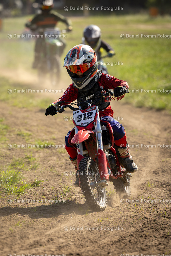 0V8A1312 | DanielFrommFotografie - Realisiert mit Pictrs.com