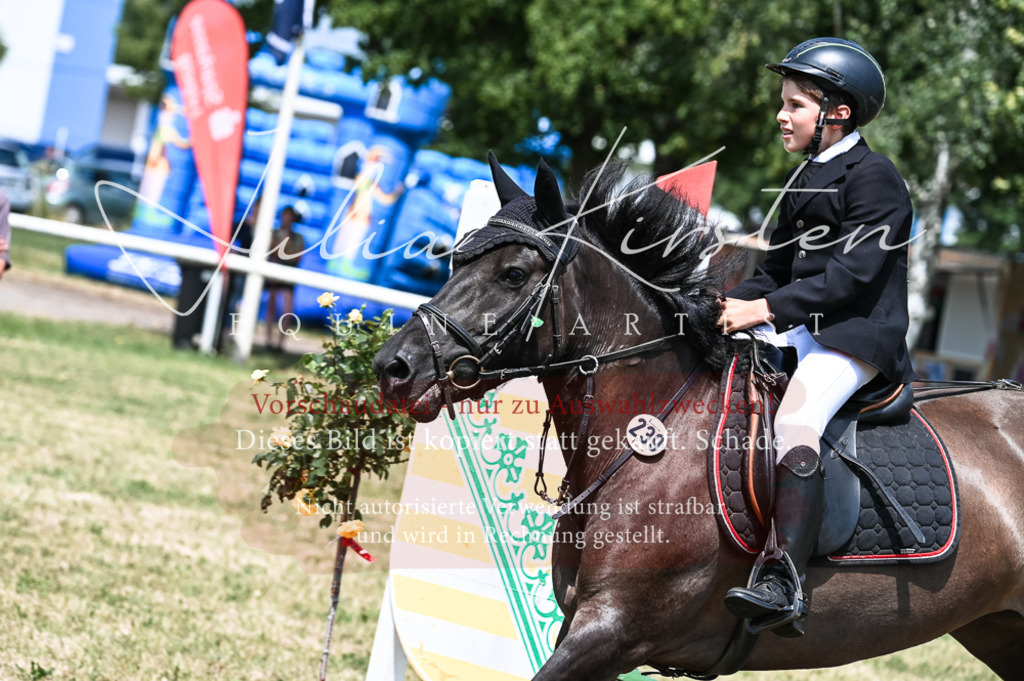 DSC_9770 | Pferde- und Turnierfotografie in Westsachsen. Pferdeportraits, Auftragszeichnungen und intuitive Kunst.