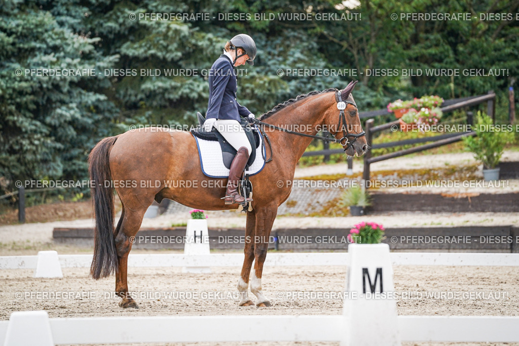 DSC00425 | Pferdegrafie