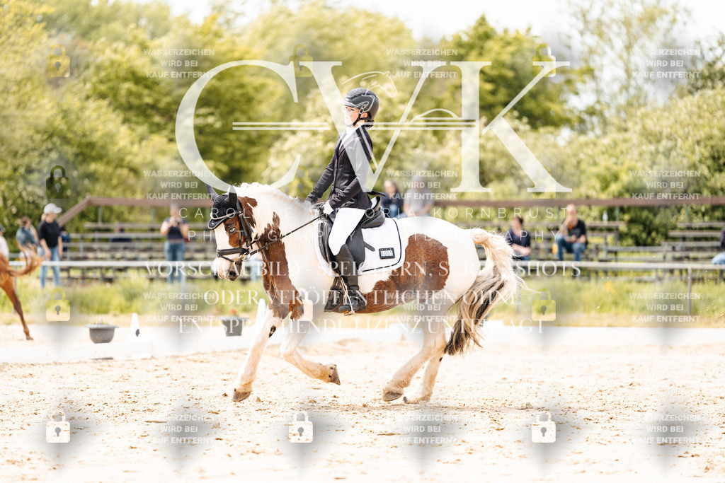 CK902232 | Turnierfotografie Pferdefotografie Trier Rheinland-Pfalz Pferdesport Reitsport Tierfotografie Sportfotografie Pferdevideo Pferdevideografie Equestrianvideography equestrianphotography  - Realisiert mit Pictrs.com