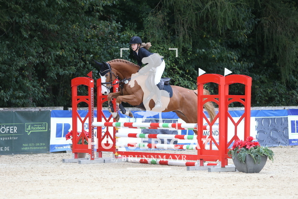 DL2Q0873 | Willkommen bei Brunnmayr - Design & Fotografie – Ihrem Spezialisten für Reitturniere und Pferdeveranstaltungen in Oberösterreich, Salzburg und Bayern! Seit über 17 Jahren sind wir leidenschaftlich dabei.