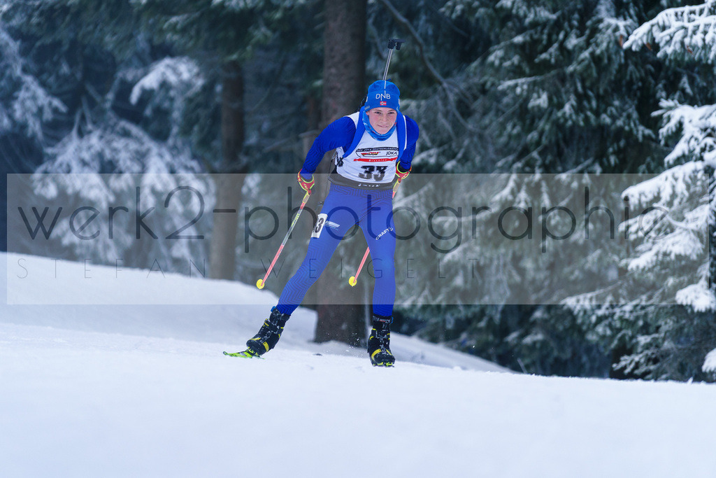 DP Oberwiesenthal | Alpencup/DP Deutschlandpokal in Oberwiesenthal am 15.-17.12.2023