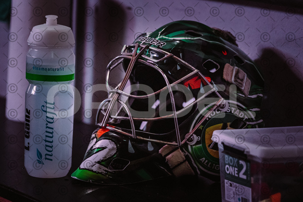 Erding_vs_Alligators_02_01_2026-17 | Höchstadt Alligators Fotogalerie: Eishockey-Action aus Franken. Professionelle Spielfotos, Portraits & Stadionbilder zum Download. Jetzt entdecken! - Realisiert mit Pictrs.com