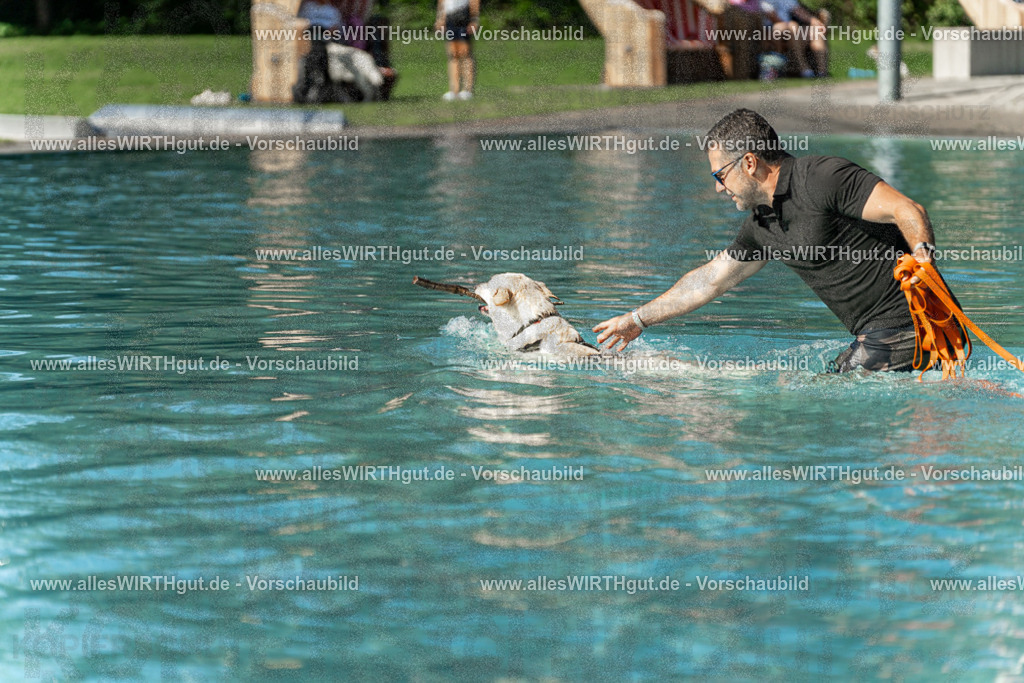 Hundeschwimmen_Volksbad_2026-allesWIRTHgut_Tierfotografie-2609061544-7R501781 | Professionelle Tierfotografie in Mönchengladbach von Daniel Wirth (allesWIRTHgut). Liebevolle & natürliche Bilder von Hunden & Katzen für unvergessliche Erinnerungen.