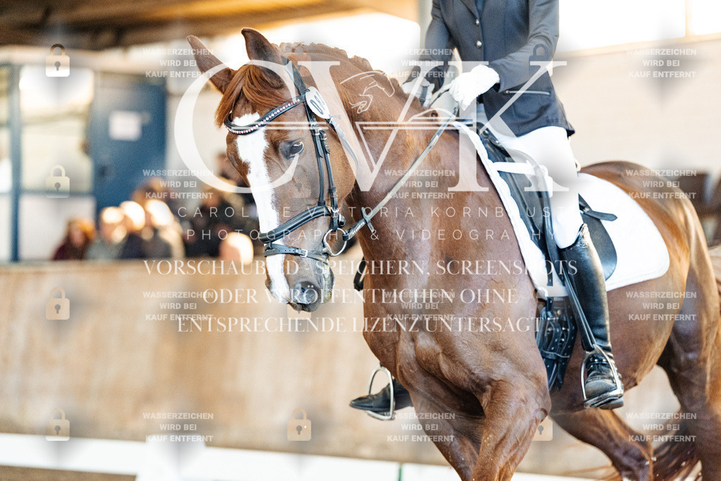 CK908579 | Turnierfotografie Pferdefotografie Trier Rheinland-Pfalz Pferdesport Reitsport Tierfotografie Sportfotografie Pferdevideo Pferdevideografie Equestrianvideography equestrianphotography  - Realisiert mit Pictrs.com