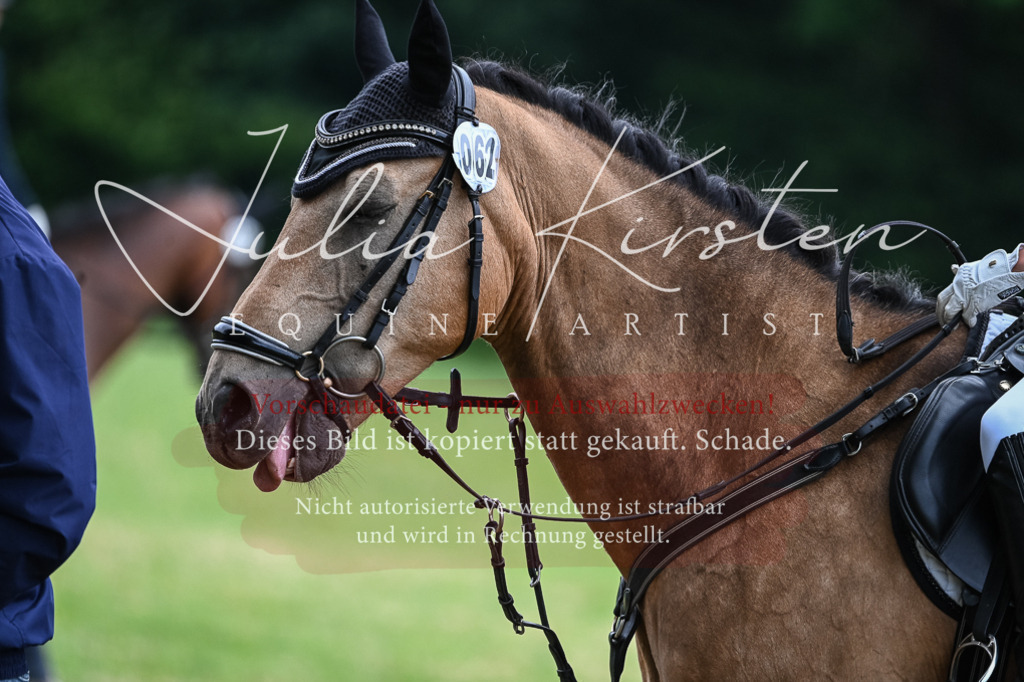 DSC_8594 | Pferde- und Turnierfotografie in Westsachsen. Pferdeportraits, Auftragszeichnungen und intuitive Kunst.