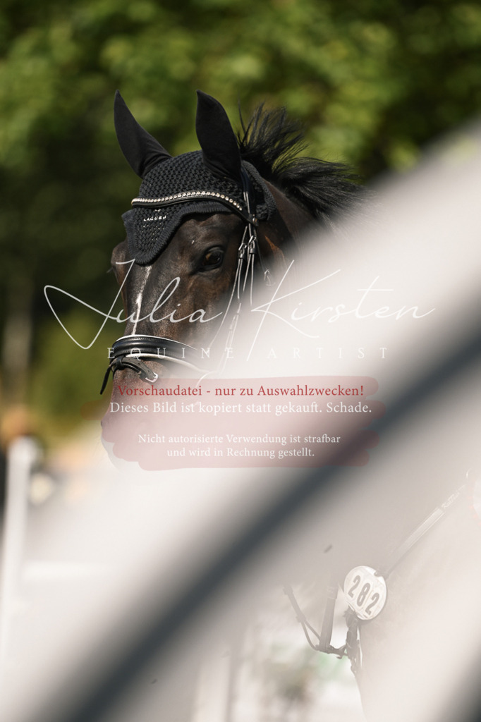 DSC_0712 | Pferde- und Turnierfotografie in Westsachsen. Pferdeportraits, Auftragszeichnungen und intuitive Kunst.