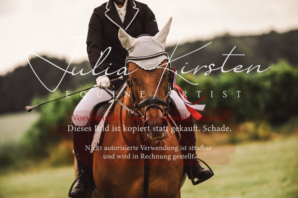 DSC_7013 | Pferde- und Turnierfotografie in Westsachsen. Pferdeportraits, Auftragszeichnungen und intuitive Kunst.