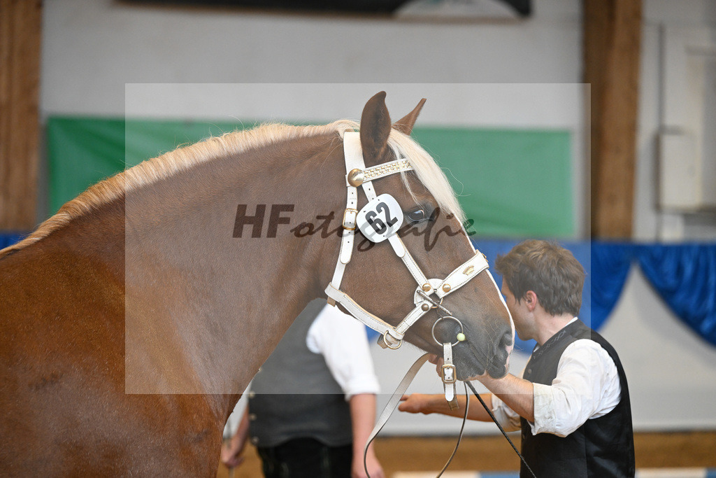 Kat-Nr. 62 Havanna_Mair_53220182 | hf-fotografie - Realisiert mit Pictrs.com