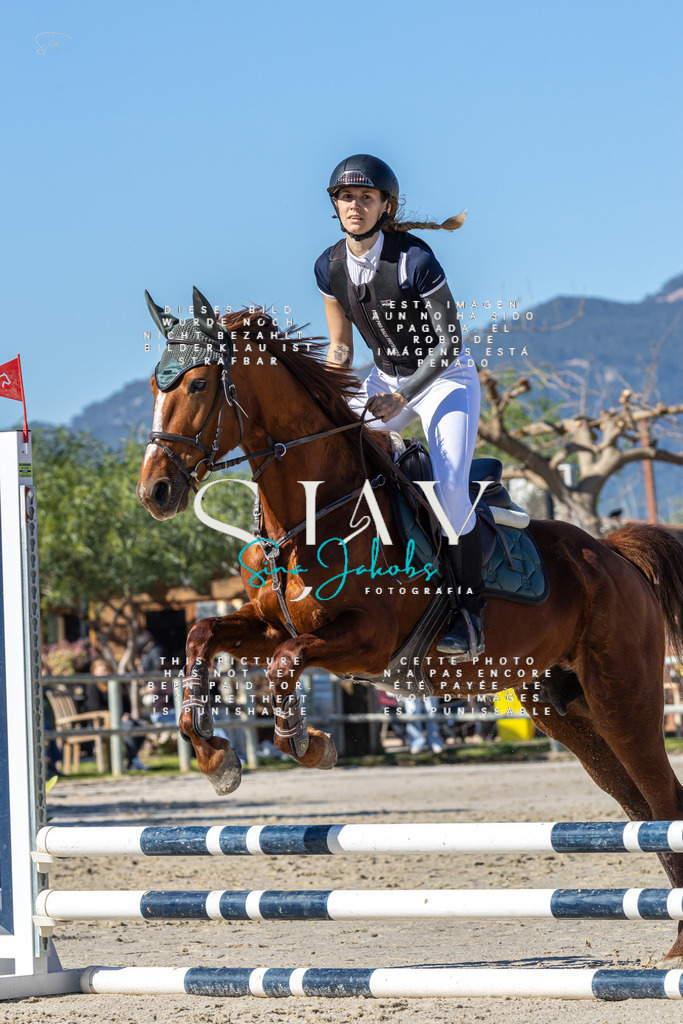 IMG_8821 | s-jay-photography - Realisiert mit Pictrs.com