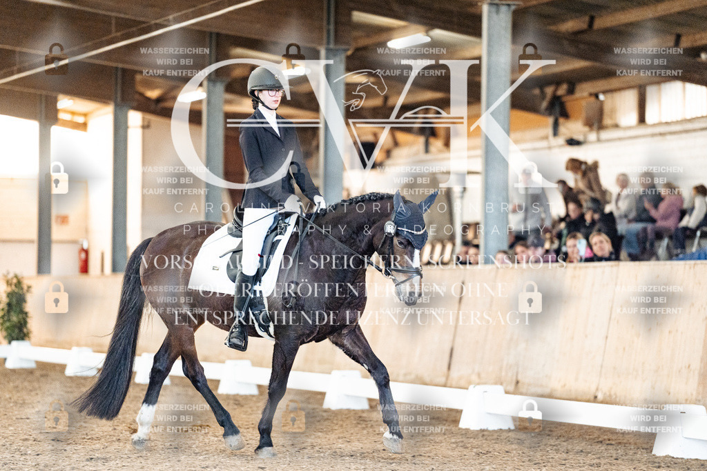 CK906932 | Turnierfotografie Pferdefotografie Trier Rheinland-Pfalz Pferdesport Reitsport Tierfotografie Sportfotografie Pferdevideo Pferdevideografie Equestrianvideography equestrianphotography  - Realisiert mit Pictrs.com