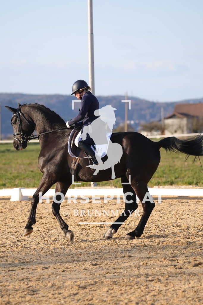 0P6A8257 | Willkommen bei Brunnmayr - Design & Fotografie – Ihrem Spezialisten für Reitturniere und Pferdeveranstaltungen in Oberösterreich, Salzburg und Bayern! Seit über 17 Jahren sind wir leidenschaftlich dabei.