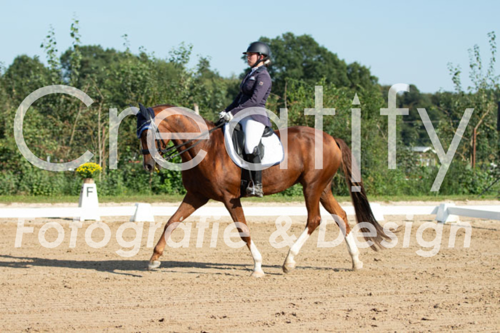 IMG_0598 | Creatify Fotografie