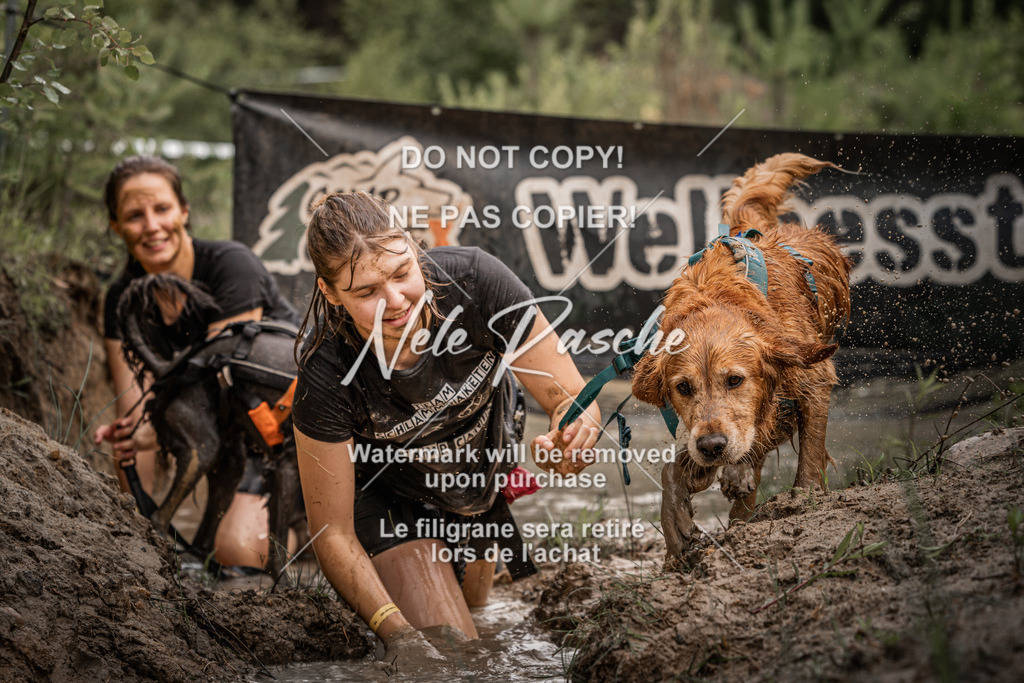 nelerasche_Hoope2026_Sa0900-0930_283 | nelerasche