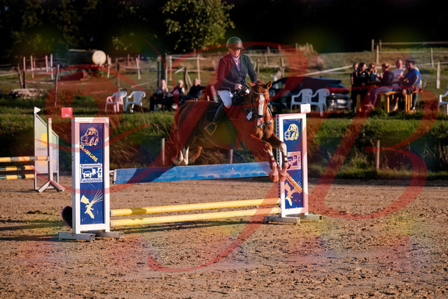 2026_10_03_Siefer-Hof_171751_Z81_15868526 | Professionelle Reitsport-, Turnier- und Eventfotografie von Robert Broda. Galerien mit ausgewählten und bearbeiteten Bildern direkt online ansehen und bestellen.