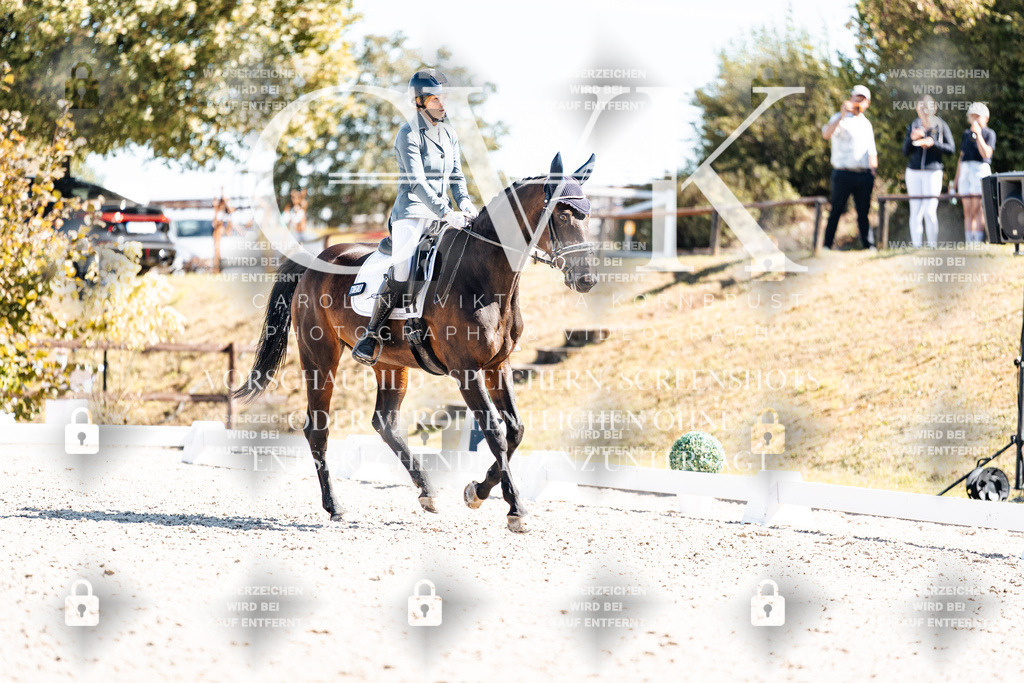 CK909817 | Turnierfotografie Pferdefotografie Trier Rheinland-Pfalz Pferdesport Reitsport Tierfotografie Sportfotografie Pferdevideo Pferdevideografie Equestrianvideography equestrianphotography  - Realisiert mit Pictrs.com