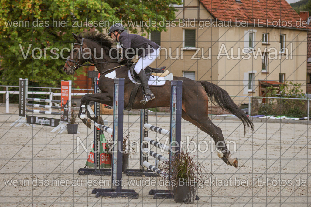 2025-09-22_09-46-51_MG_4635 | TE-Fotos