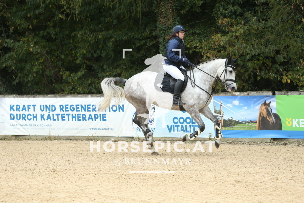 DL2Q6013 | Willkommen bei Brunnmayr - Design & Fotografie – Ihrem Spezialisten für Reitturniere und Pferdeveranstaltungen in Oberösterreich, Salzburg und Bayern! Seit über 17 Jahren sind wir leidenschaftlich dabei.