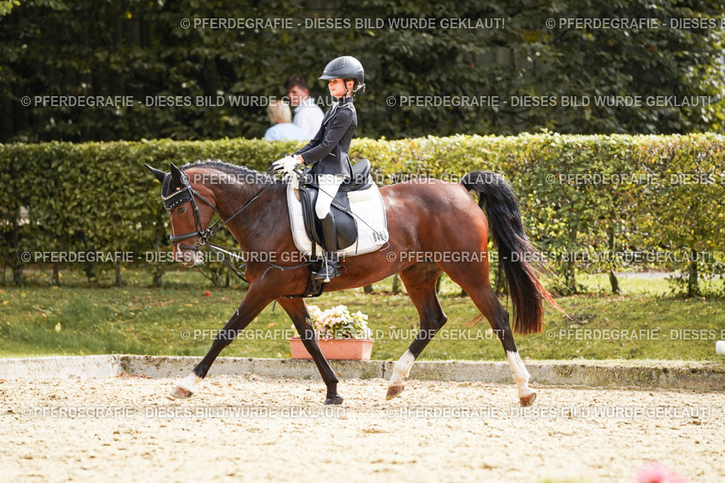 DSC01251 | Pferdegrafie