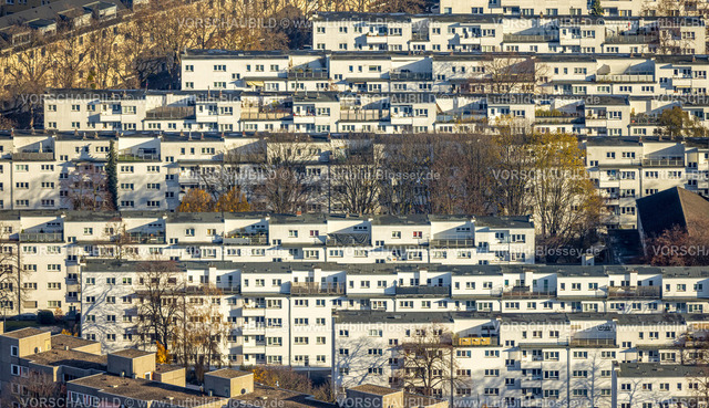 Koeln231104495 | Luftbild, Reihenhaus-Wohnsiedlung Stadtviertel Veedel Buchforst, umgeben von herbstlichen Laubbäumen, Buchforst, Köln, Rheinland, Nordrhein-Westfalen, Deutschland