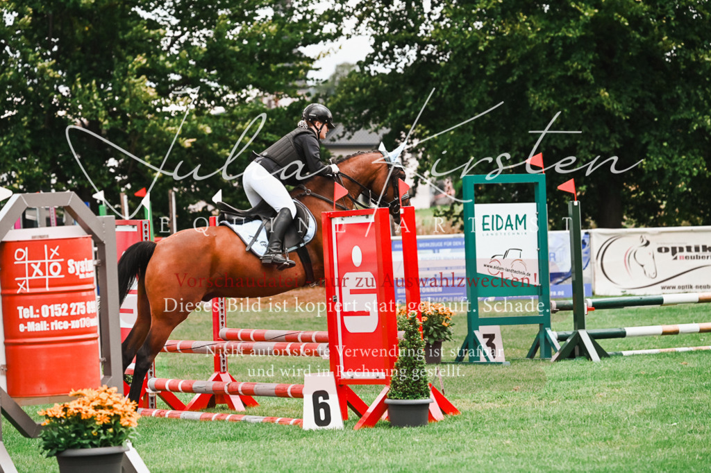 DSC_6045 | Pferde- und Turnierfotografie in Westsachsen. Pferdeportraits, Auftragszeichnungen und intuitive Kunst.