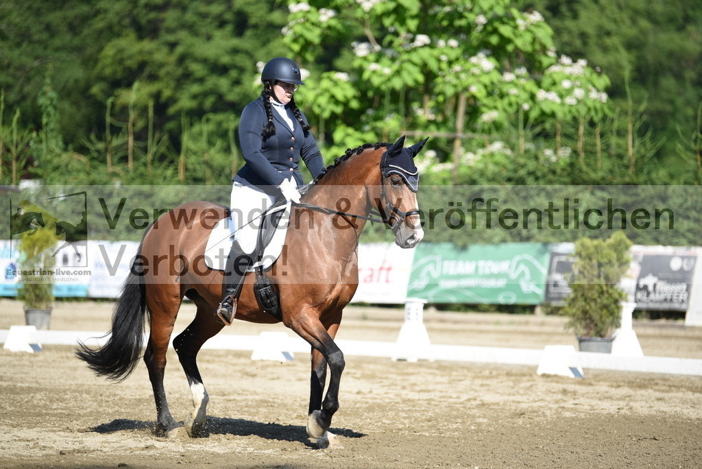 DSC_7294 | equestrian-live-com