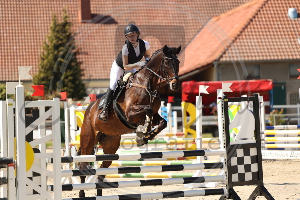 994A5795 | sabrinanicolaifotografie - Realisiert mit Pictrs.com