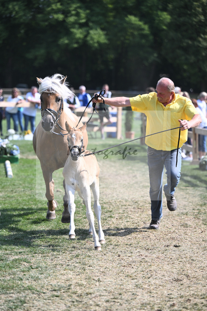 DSP Praemie Delmara SCH_Schmid_20231400 | hf-fotografie - Realisiert mit Pictrs.com