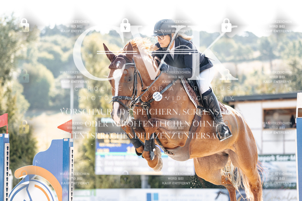 CK902000 | Turnierfotografie Pferdefotografie Trier Rheinland-Pfalz Pferdesport Reitsport Tierfotografie Sportfotografie Pferdevideo Pferdevideografie Equestrianvideography equestrianphotography  - Realisiert mit Pictrs.com