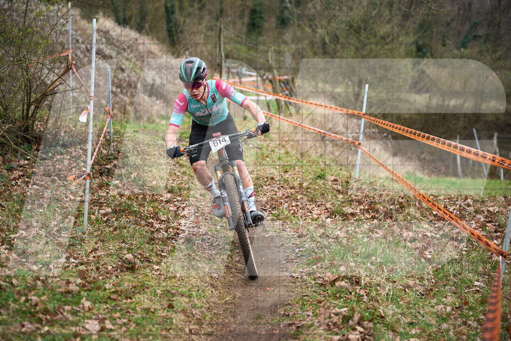 34. KTM Kamptal Trophy  | ZÖBING, Österreich – 2026-03-29: 34. KTM Kamptal TrophyFoto: © 2026 Martin Bihounek - MB Creative e.U.