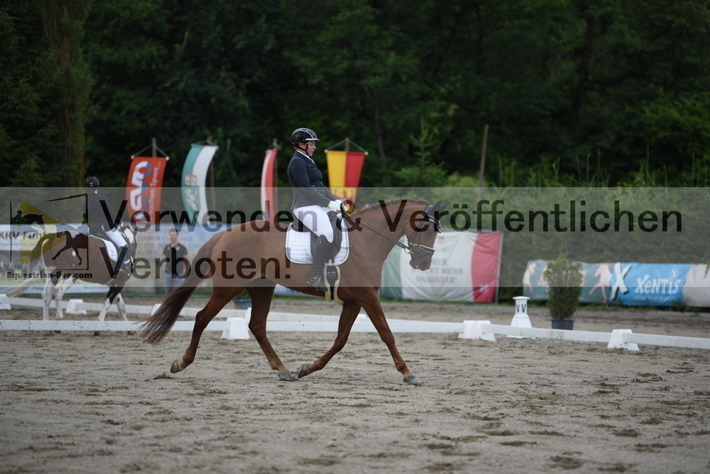DSC_6397 | equestrian-live-com