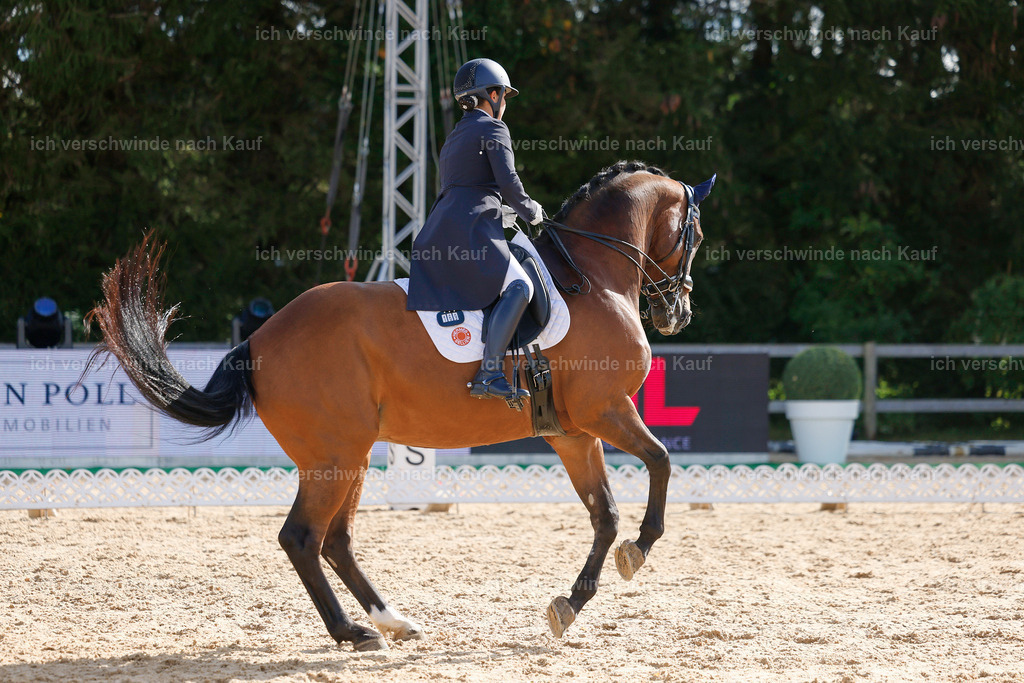 09_2-169-DRESSUR  S_  -StoibPH-5758 | working equitationturnier fotograf videograf stoibphotography marixx film working equitation deutschland reitsport turnierfotografie eventfotografie equestrian events