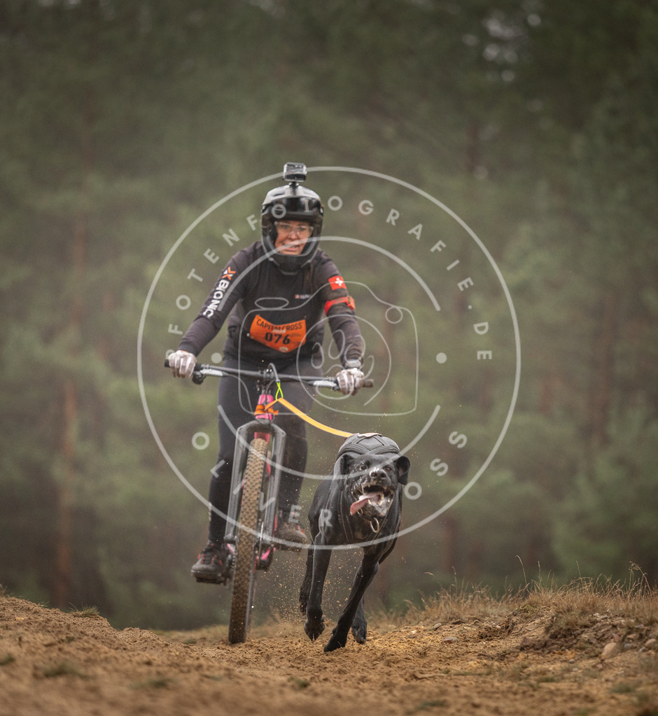 Pfotenfotografie_DV3A2681 | Hundefotografie, Tierfotograf, Pfotenfotografie, Fotoshooting Hund, Hunde Portrait, Hundesport, Hundeportraits, Heideshooting, Hunde, Sportfotograf, Hundefotograf, Turnierhundsport, THS,  - Realisiert mit Pictrs.com
