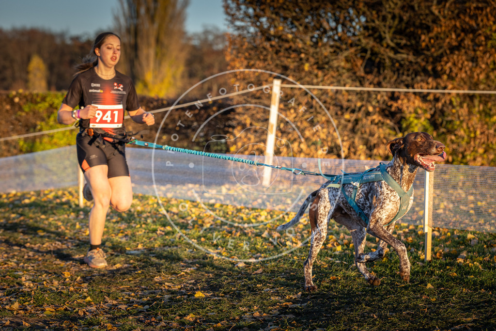 CaniXpix_DV3A5420 | Hundefotografie, Tierfotograf, Pfotenfotografie, Fotoshooting Hund, Hunde Portrait, Hundesport, Hundeportraits, Heideshooting, Hunde, Sportfotograf, Hundefotograf, Turnierhundsport, THS,  - Realisiert mit Pictrs.com