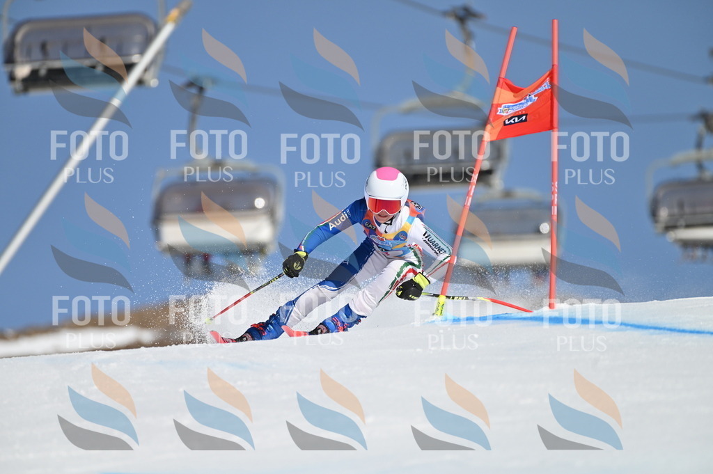 BGV_7699 | holidayphoto