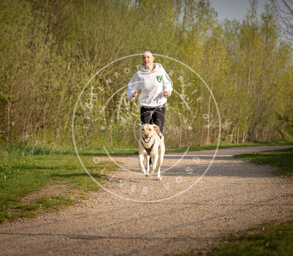 Pfotenfotografie_DV3A4549 | Hundefotografie, Tierfotograf, Pfotenfotografie, Fotoshooting Hund, Hunde Portrait, Hundesport, Hundeportraits, Heideshooting, Hunde, Sportfotograf, Hundefotograf, Turnierhundsport, THS,  - Realisiert mit Pictrs.com