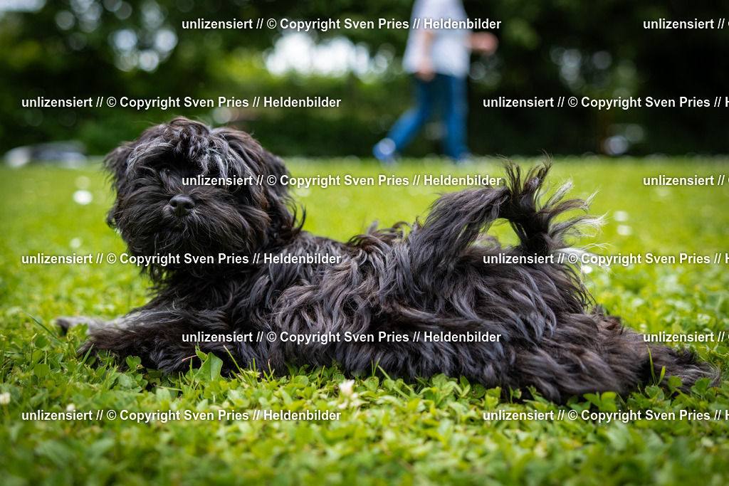 Sven Pries | 2025-05-29 - Pudelrennen KA-Durlach - Realisiert mit Pictrs.com