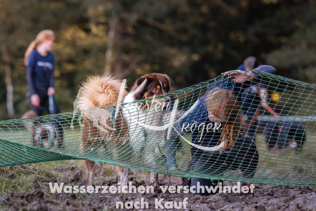 1055_ZZ93061 | kk-dogfotos