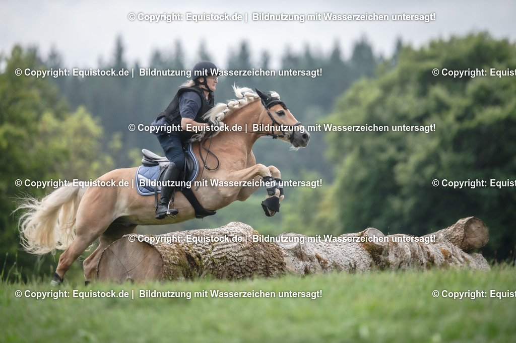 20250726_Vielseitigkeitslehrgang-Marbach_0591 | Foto: Thomas Hartig
