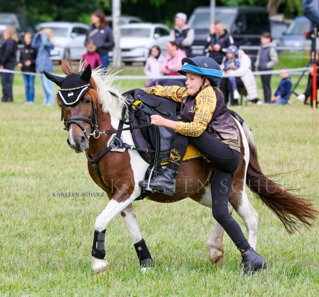 1B3A0360 | Reitsport Reiten