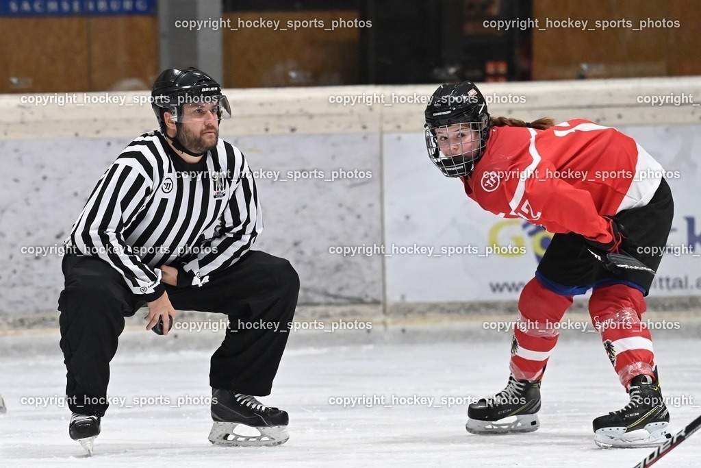 BST_3823 | hockey sports photos, Pressefotos, Sportfotos, hockey247, win 2day icehockeyleague, Handball Austria, Floorball Austria, ÖVV, Kärntner Eishockeyverband, KEHV, KFV, Kärntner Fussballverband, Österreichischer Volleyballverband, Alps Hockey League, ÖFB, 