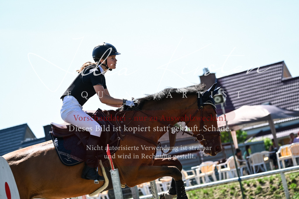 DSC_1469 | Pferde- und Turnierfotografie in Westsachsen. Pferdeportraits, Auftragszeichnungen und intuitive Kunst.
