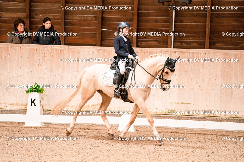 Dressur Tag 2-45 | dv-media-shop - Realisiert mit Pictrs.com