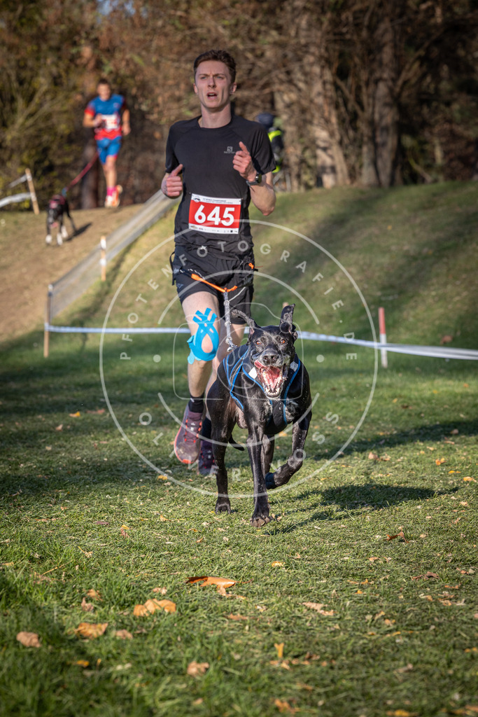 CaniXpix_0L8A9035 | Hundefotografie, Tierfotograf, Pfotenfotografie, Fotoshooting Hund, Hunde Portrait, Hundesport, Hundeportraits, Heideshooting, Hunde, Sportfotograf, Hundefotograf, Turnierhundsport, THS,  - Realisiert mit Pictrs.com