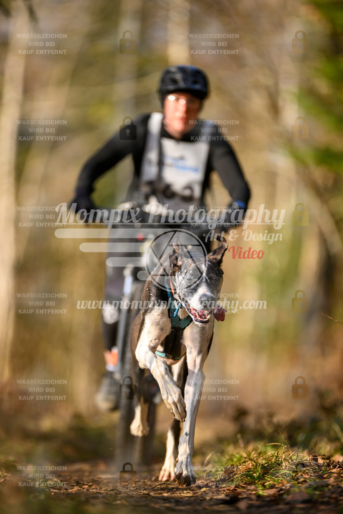 MompixPhotography_6ReiatRennen2026_SO_Bike-47 | PayLife