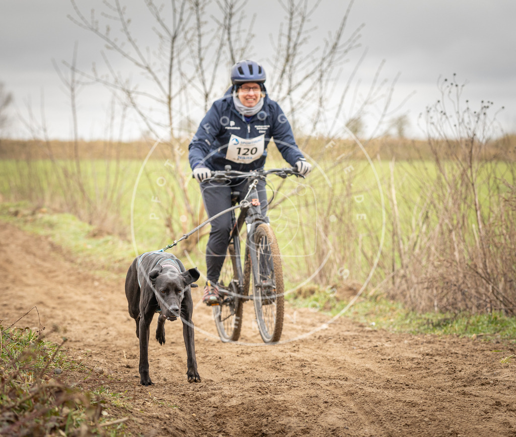 DV3A0927 | Hundefotografie, Tierfotograf, Pfotenfotografie, Fotoshooting Hund, Hunde Portrait, Hundesport, Hundeportraits, Heideshooting, Hunde, Sportfotograf, Hundefotograf, Turnierhundsport, THS,  - Realisiert mit Pictrs.com