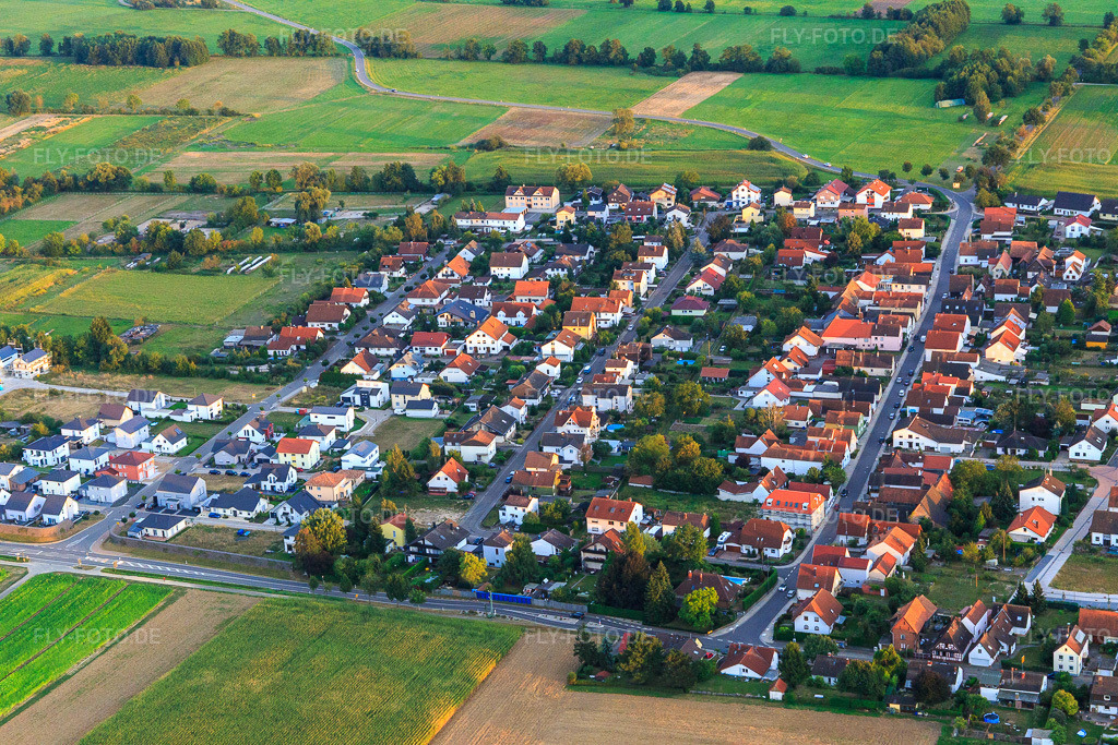 Luftbild: Gartenstraße und Holzgasse in Minfeld im Bundesland Rheinland-Pfalz in Deutschland. Foto: IMG_094501.jpg vom 01.09.2016 durch Werner Riehm/FLY-FOTO.de