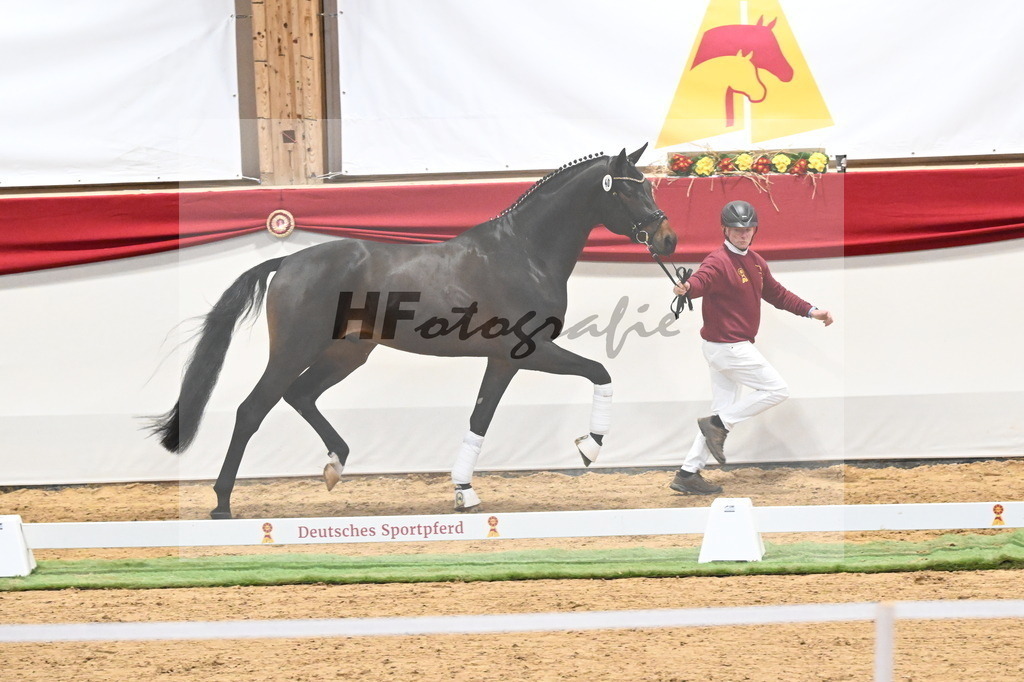 Kat.-Nr. 40 v. Despacito_Greim_3260227 | hf-fotografie - Realisiert mit Pictrs.com