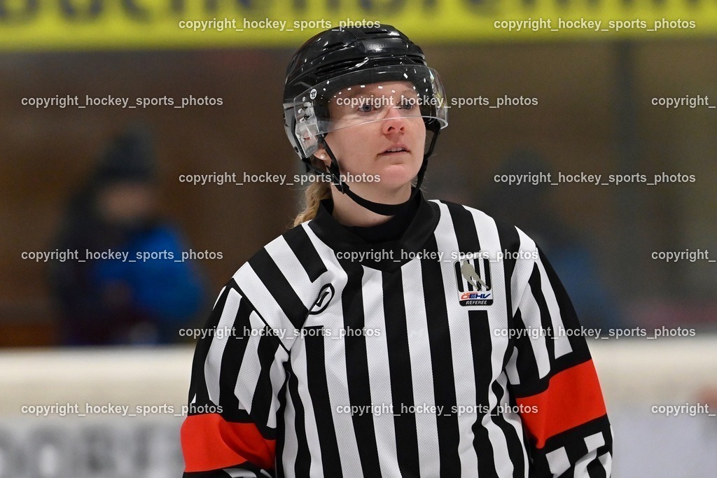 BST_4383 | hockey sports photos, Pressefotos, Sportfotos, hockey247, win 2day icehockeyleague, Handball Austria, Floorball Austria, ÖVV, Kärntner Eishockeyverband, KEHV, KFV, Kärntner Fussballverband, Österreichischer Volleyballverband, Alps Hockey League, ÖFB, 