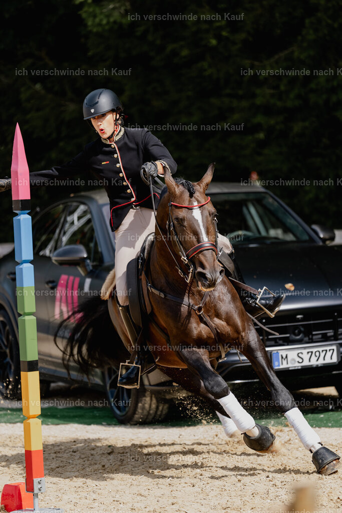Virginie12FHC2025-3052 | working equitationturnier fotograf videograf stoibphotography marixx film working equitation deutschland reitsport turnierfotografie eventfotografie equestrian events